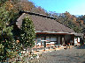 12-03bb05.JPG