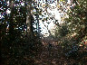 12-03bb06.JPG
