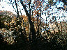 12-03bb07.JPG