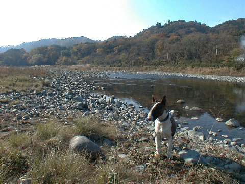 12-03bb03.JPG