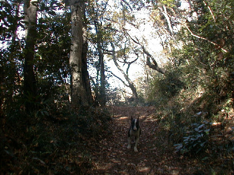 12-03bb06.JPG