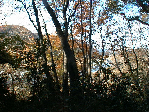 12-03bb07.JPG
