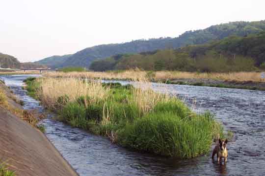 DCP_0770