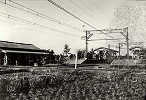 ���c�}���͌��w�i���a30�N1955�N���j