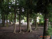 R0014456